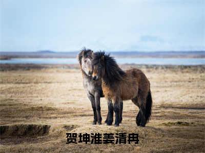 小说贺坤淮姜清冉免费阅读-（姜清冉贺坤淮）贺坤淮姜清冉最新章节小说阅读-笔趣阁