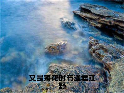 又是落花时节逢君江野小说全文在线赏析向晚江野小说免费阅读全文大结局