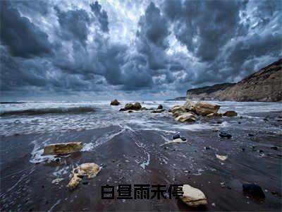 谢予深沈落雨小说免费（白昼雨未停免费阅读）白昼雨未停全文免费阅读无弹窗大结局_谢予深沈落雨小说最新章节列表