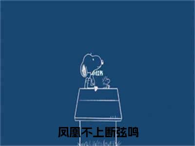 凤瑶龙怀策凤凰不上断弦鸣小说全文无广告阅读-凤瑶龙怀策小说赏析凤凰不上断弦鸣