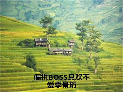 秦楚季景珩偏执BOSS只欢不爱季景珩完结小说-偏执BOSS只欢不爱季景珩全文免费阅读无弹窗