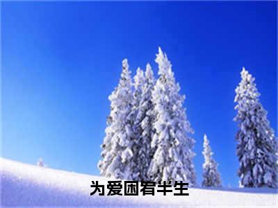 为爱困宥半生小说全文免费阅读-（周令雪）为爱困宥半生精选小说大结局阅读