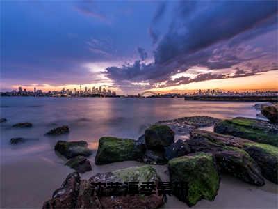 季景研沈艺淳（沈艺淳季景研）全文免费阅读无弹窗大结局_季景研沈艺淳免费试读阅读全文无弹窗