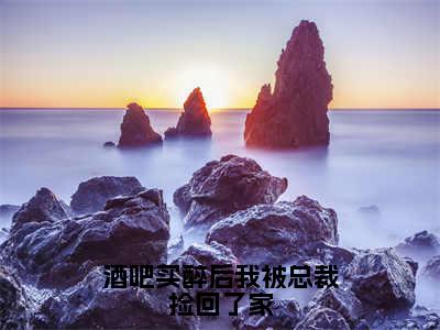 酒吧买醉后我被总裁捡回了家（陆北琛陈橙）全文免费阅读_陆北琛陈橙正版小说全文阅读