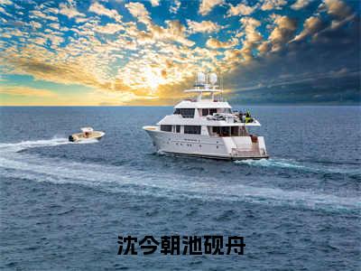 沈今朝池砚舟（池砚舟沈今朝）全文免费阅读无弹窗大结局_（沈今朝池砚舟免费阅读）池砚舟沈今朝无弹窗最新章节列表