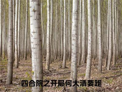 何雨柱（四合院之开局何大清要跑）全文免费阅读无弹窗大结局_何雨柱小说（四合院之开局何大清要跑）最新章节列表（何雨柱）