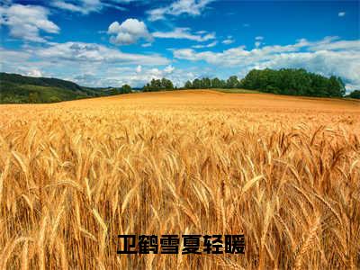 卫鹤雪夏轻暖(卫鹤雪夏轻暖)全文免费阅读无弹窗大结局_(卫鹤雪夏轻暖免费阅读全文大结局)最新章节列表