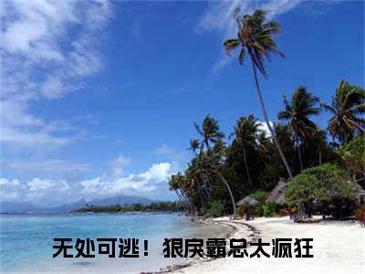 泽安德安格已完结小说全集阅读（无处可逃！狠戾霸总太疯狂完整版大结局）泽安德安格小说全文阅读笔趣阁