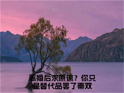 离婚后求原谅？你只是替代品罢了秦双免费阅读大结局无弹窗-小说推荐离婚后求原谅？你只是替代品罢了秦双精彩章节在线阅读