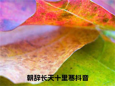 楼心月谢司珩朝辞长天十里寒完整版最新小说大结局，楼心月谢司珩免费完结版