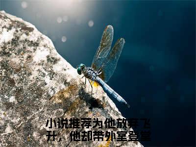 (番外)+(结局)为他放弃飞升，他却带外室登堂凤虞：结局+番外(为他放弃飞升，他却带外室登堂凤虞)全文免费阅读无弹窗大结局_(为他放弃飞升，他却带外室登堂凤虞：结局+番外)最新章节列表_笔趣阁(为他放弃飞升，他却带外室登堂凤虞)