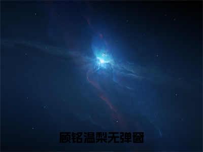 亿万星辰与微光（顾铭温梨）小说在线阅读_亿万星辰与微光免费阅读笔趣阁（顾铭温梨）