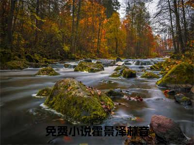 顶风作案，霍律师入夜对她上瘾小说(霍景泽林音)（顶风作案，霍律师入夜对她上瘾）在线畅读阅读连载中