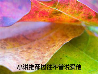 过往不曾说爱他完结篇(沈靖驰傅沐微)章节：结局+番外评价五颗星