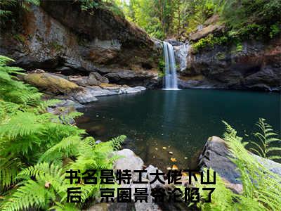 特工大佬下山后，京圈景爷沦陷了结局+番外+结局（风茗染景奕珩）全文免费阅读无弹窗大结局_特工大佬下山后，京圈景爷沦陷了：结局+番外免费阅读最新章节列表_笔趣阁（特工大佬下山后，京圈景爷沦陷了结局+番外）