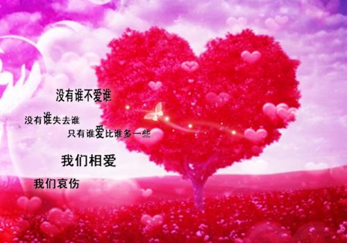 温允琛林微夏（温允琛林微夏）免费小说_温允琛林微夏最新章节