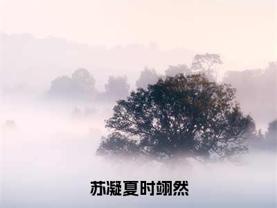 苏凝夏时翊然（时翊然苏凝夏）小说全文免费阅读无弹窗大结局_苏凝夏时翊然全文在线阅读无弹窗（时翊然苏凝夏）