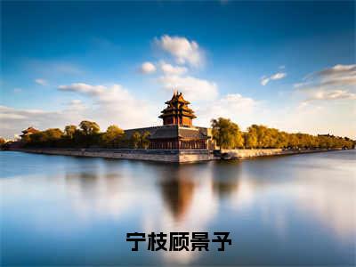 顾景予宁枝全文免费阅读无弹窗大结局_（宁枝顾景予小说）顾景予宁枝最新章节列表笔趣阁（宁枝顾景予）