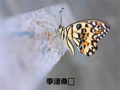 季津桑蒅在线阅读（桑蒅季津）全文免费阅读无弹窗大结局_桑蒅季津免费最新章节列表_笔趣阁