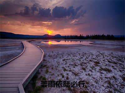 陆必行姜雨依（姜雨依陆必行）在线阅读小说全文无删减-姜雨依陆必行小说大结局