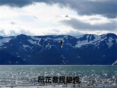 阮芷音程越霖（程越霖阮芷音小说）全文免费阅读无弹窗大结局_程越霖阮芷音小说免费阅读-笔趣阁