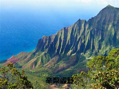 辛梨阎野（阎野辛梨）快手热推小说主角辛梨阎野完整版在线阅读