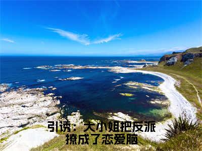 陆峥野林妤笙在线阅读（引诱：大小姐把反派撩成了恋爱脑）全文免费阅读无弹窗大结局_