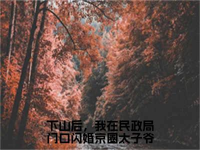 【新书】《下山后，我在民政局门口闪婚京圈太子爷》全文免费阅读无弹窗大结局-陆北秦沈初棠 全文全章节免费阅读