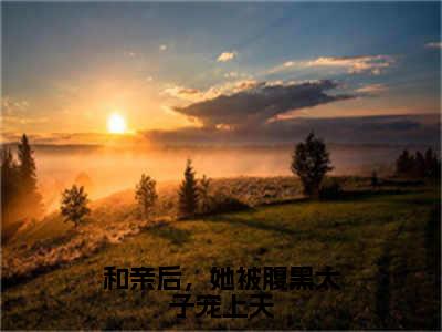 和亲后，她被腹黑太子宠上天（宁染景易）老书虫2023良心推荐小说-和亲后，她被腹黑太子宠上天（宁染景易）小说精彩免费试读