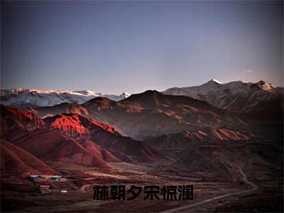 宋惊澜林朝夕免费阅读无弹窗大结局，林朝夕宋惊澜（最新全章节）全文阅读免费阅读-笔趣阁