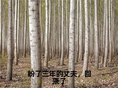 盼了三年的丈夫，回来了（秦雨溪厉墨珩全章节完整版）免费阅读_（盼了三年的丈夫，回来了）秦雨溪厉墨珩全文无删减免费阅读（盼了三年的丈夫，回来了）