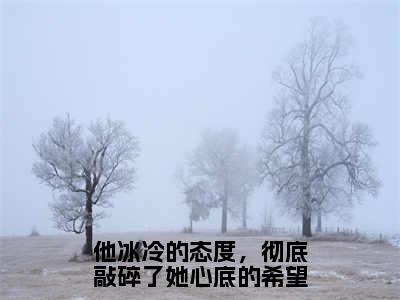 他冰冷的态度，彻底敲碎了她心底的希望全文免费阅读无弹窗大结局-涂晚凝纪时宴最新章节列表_笔趣阁（他冰冷的态度，彻底敲碎了她心底的希望）