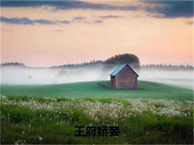 王府娇妾(叶夕颜顾朝辞)全文免费阅读无弹窗_王府娇妾（叶夕颜顾朝辞）全文阅读-笔趣阁（王府娇妾）