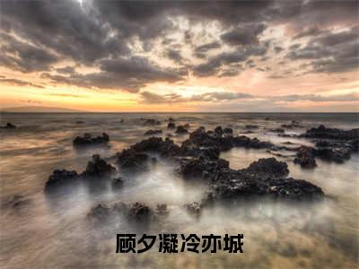 冷亦城顾夕凝顾夕凝冷亦城在线小说-顾夕凝冷亦城全文无删减版阅读