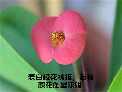 表白校花被拒，我被校花闺蜜求婚 全文(林羽)全文免费阅读无弹窗大结局_ 林羽全文免费阅读最新章节列表_