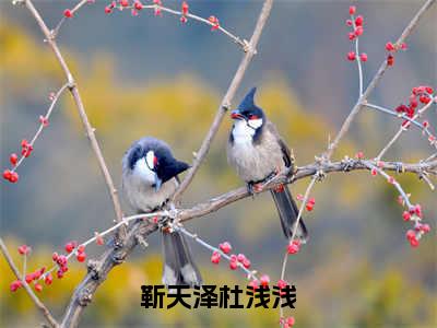 靳天泽杜浅浅（杜浅浅靳天泽）免费阅读最新章节无弹窗 杜浅浅靳天泽完整版小说在线阅读