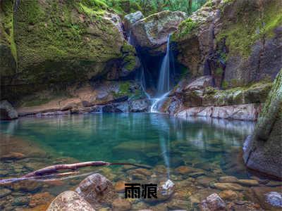 周雨晚商渡（雨痕）全文免费阅读无弹窗大结局_（雨痕无弹窗）全文完整版免费阅读