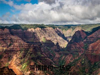 主角叫叶北星顾凌辰的小说-（深情错付一场空）叶北星顾凌辰全文无弹窗完整版阅读