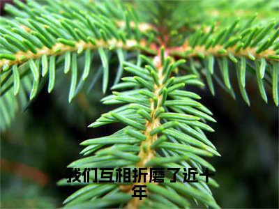 宋渊林越小说最新章节阅读-我们互相折磨了近十年全文免费试读