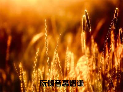 慕熠谦阮倾音（阮倾音慕熠谦）全文免费阅读无弹窗大结局_（阮倾音慕熠谦无弹窗）最新章节免费阅读_笔趣阁（慕熠谦阮倾音）