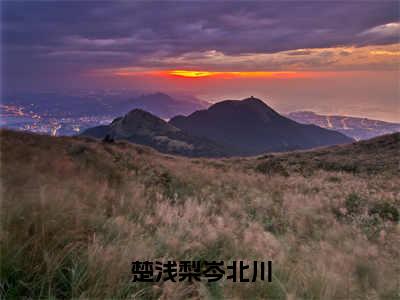 楚浅梨岑北川小说（岑北川楚浅梨）小说全文免费岑北川楚浅梨读无弹窗大结局笔趣阁（楚浅梨岑北川）