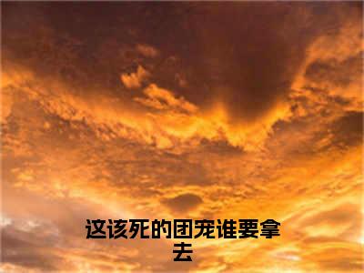 热门小说已完结池念小说无弹窗大结局_池念这该死的团宠谁要拿去全文阅读大结局