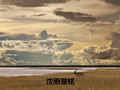 楚铭沈雨（沈雨楚铭）完整版小说阅读-楚铭沈雨小说（沈雨楚铭）精彩免费试读