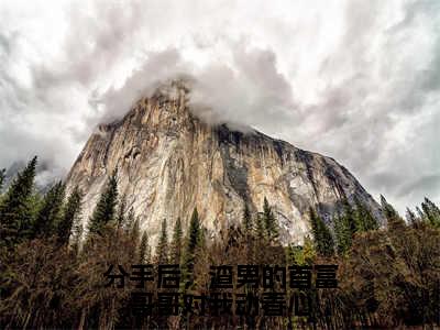 分手后，渣男的首富哥哥对我动春心（洛绾池砚舟）精彩小说-小说洛绾池砚舟全文无删减版免费阅读