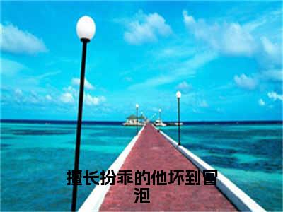 沈烬苏夏禾全文免费（擅长扮乖的他坏到冒泡）全文免费阅读无弹窗大结局_（沈烬苏夏禾全文免费）