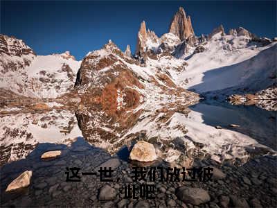 这一世，我们放过彼此吧沈玲瑛程松涛小说全文免费阅读无弹窗大结局_这一世，我们放过彼此吧（沈玲瑛程松涛）最新章节列表笔趣阁