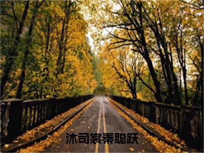 秦聪跃沐司裳（沐司裳秦聪跃）全文免费阅读无弹窗大结局_沐司裳秦聪跃（秦聪跃沐司裳免费阅读）_笔趣阁