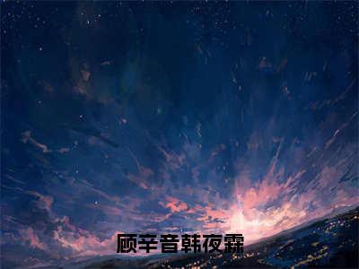 主角是韩夜霖顾辛音的小说（顾辛音韩夜霖）-（顾辛音韩夜霖）韩夜霖顾辛音全文免费阅读无弹窗大结局笔趣阁