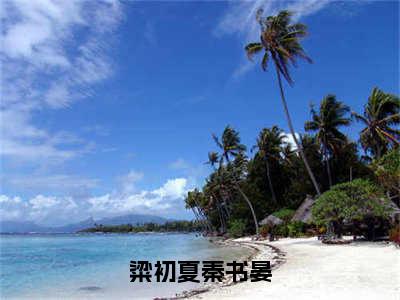 秦书晏粱初夏粱初夏秦书晏在线小说-粱初夏秦书晏全文无删减版阅读