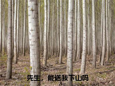 姜萌谢聿州（姜萌谢聿州）是什么小说-（先生，能送我下山吗）无弹窗免费阅读大结局最新章节列表_笔趣阁